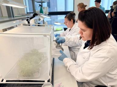 Агроблогеры посетили НИЦ «Августа» в Черноголовке