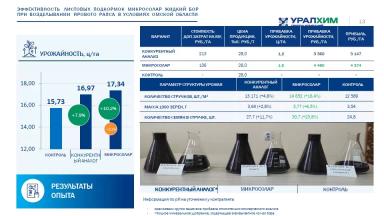 Жидкие удобрения МикроСолар Жидкий Бор и МикроСолар Жидкий Цинк. Опыты