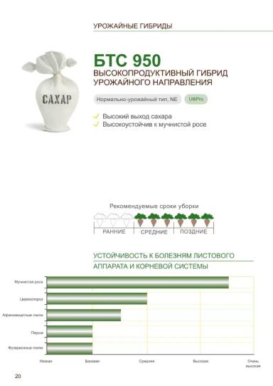 БТС 950 (BTS 950)