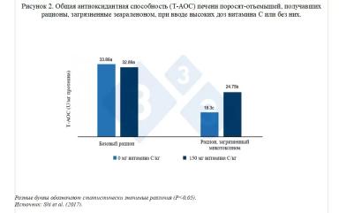 Роль витаминов в иммунном ответе поросят: новые исследования