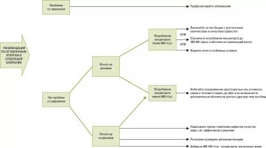 Дюдэ – Овцеводство. Гл. 14, 15-1. Типы продукции. Пастбищное выращивание ягнят