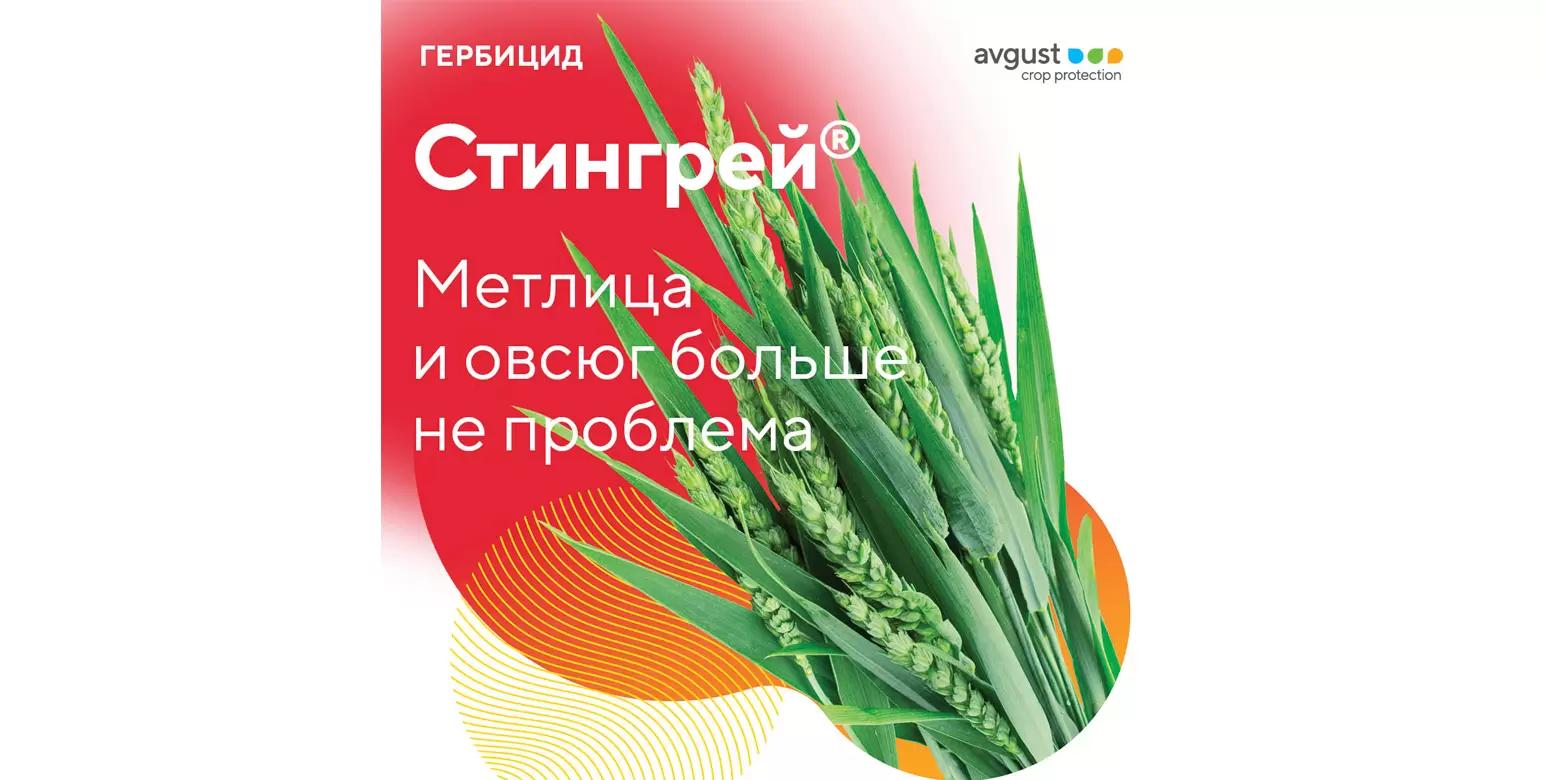 Пшеница и ячмень без метлицы и овсюга