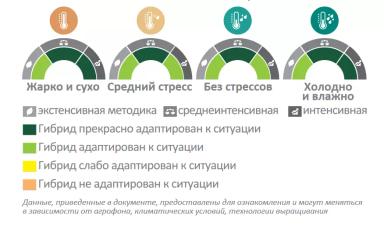 ЕС Агора (ES AGORA)