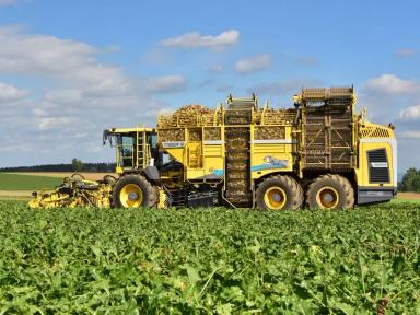 Три богатыря на свекольном поле: ROPA, GRIMME и HOLMER (Часть 2)