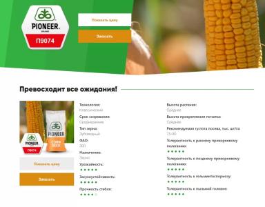 П 9074 - гибрид кукурузы Пионер