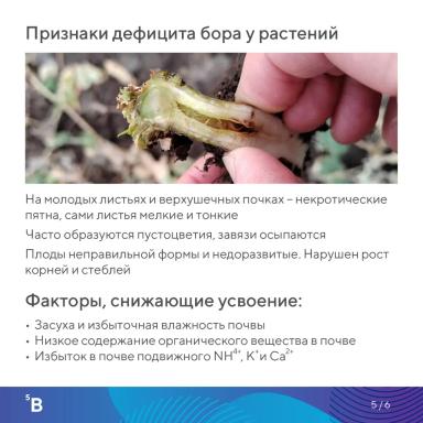 Элементарно об элементах: бор