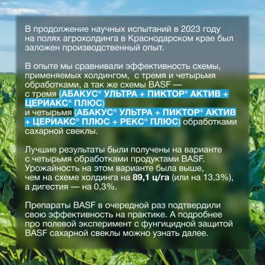 Защита, которая окупается сахаром