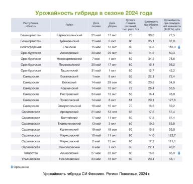 АРТЕЗИАН™: подберите свой идеальный гибрид кукурузы