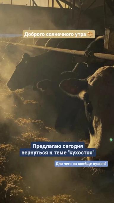 🌾 Искусство кормления: ключевой фактор здорового потомства 🌾