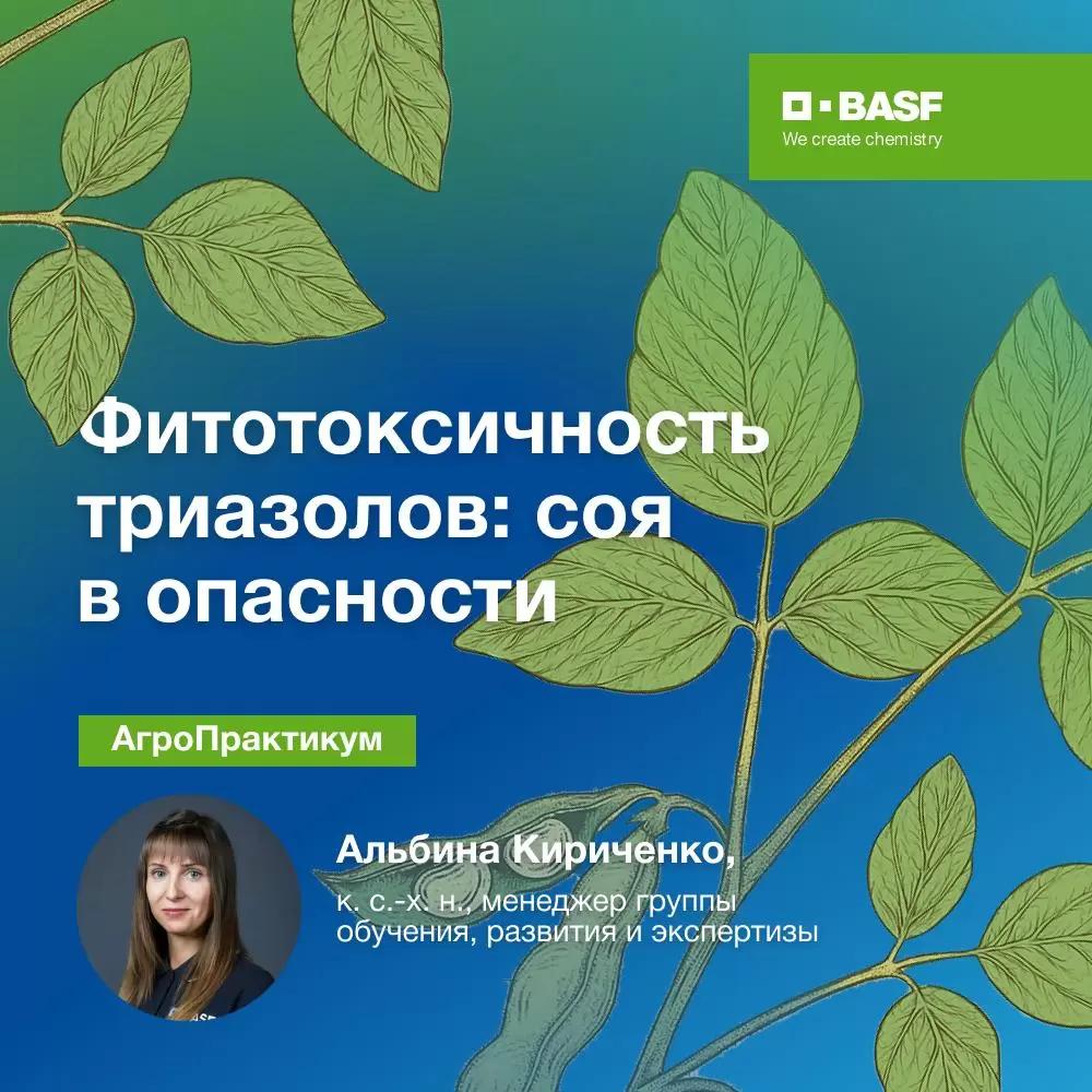 Фитотоксичность триазолов