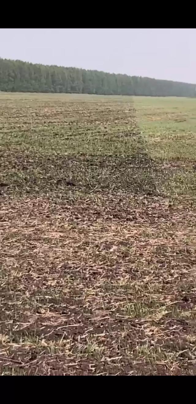 Агромониторинг