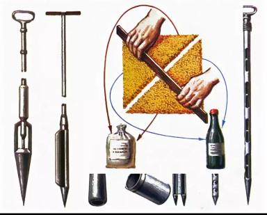 Отбор проб семян