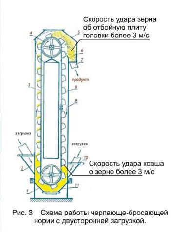 Механические повреждения семян