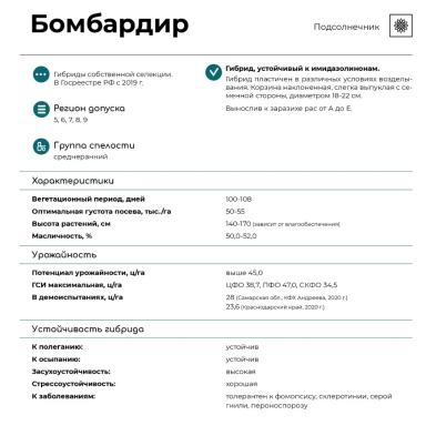 Бомбардир