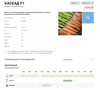 Каскад F1