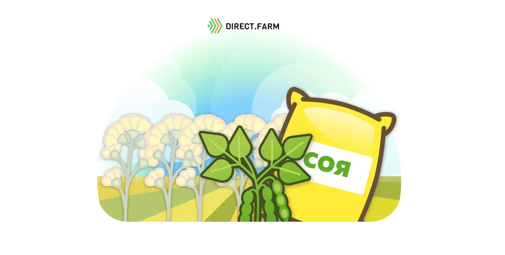 Посев сои по рапсу