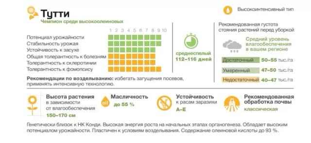 Тутти - гибрид подсолнечника (Helianthus annuus L.) .