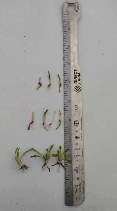 Спасибо Direct. Farm за викторину 🙂