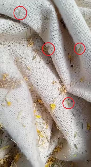 Вопросы из чатов: стоит ли проводить обработку?