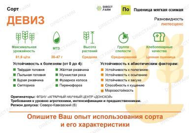 Девиз сорт мягкой озимой пшеницы