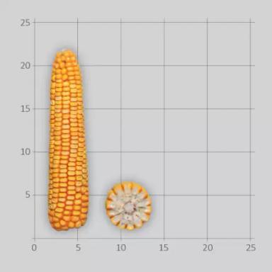 ЛГ 30189 гибрид кукурузы Лимагрейн