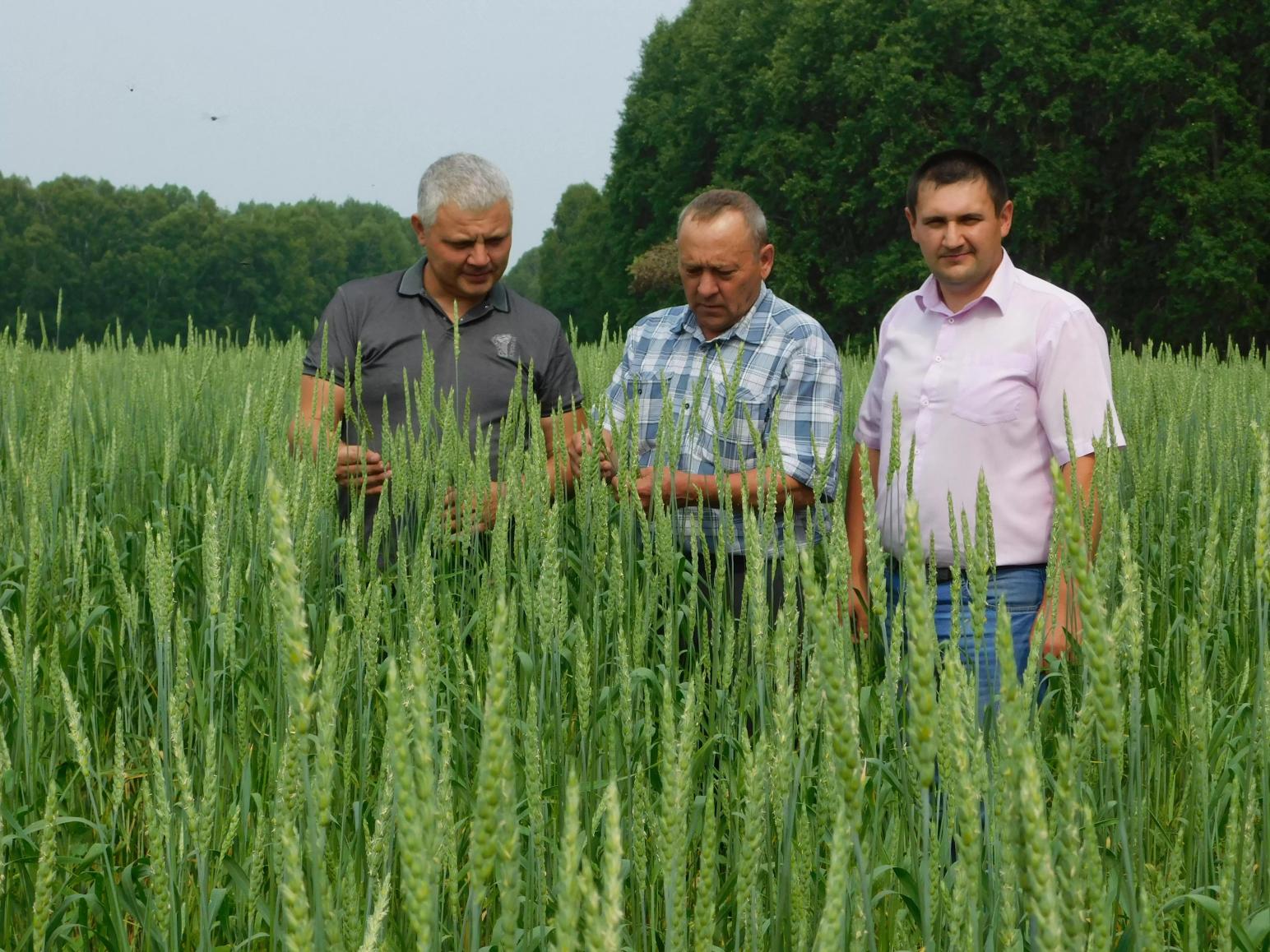 Новости с полей