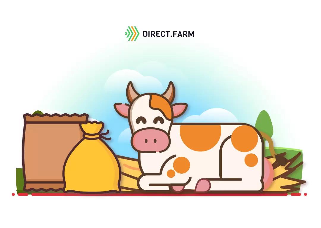 Как применять ферментационные подстилки для коров?