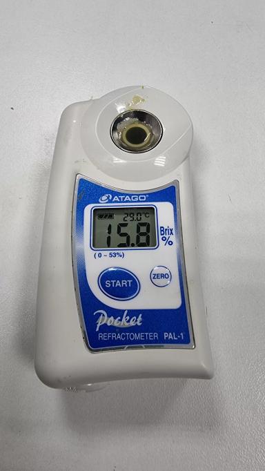 Осмотр озимых перед зимовкой 