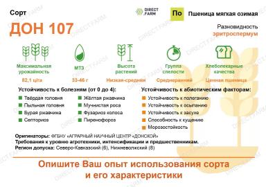 Дон 107 сорт озимой пшеницы