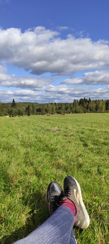 Лето в деревне