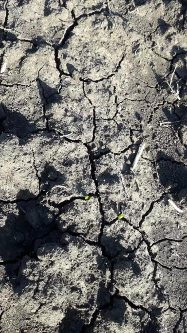 Агромониторинг