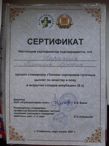 Резюме: Хочу работать без корочки вуза