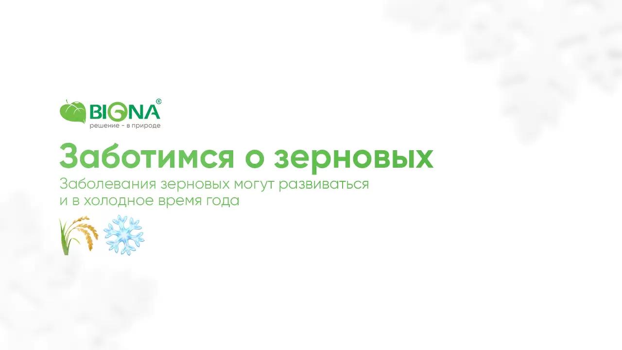 Заботимся о наших зерновых даже зимой! ❄️🌾