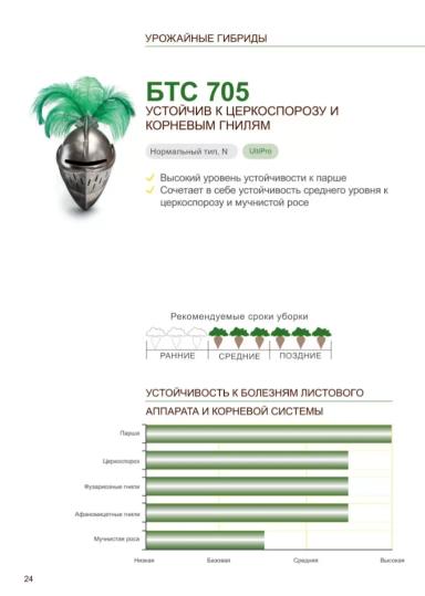 БТС 705 (BTS 705) сахарная свекла