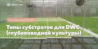 Типы субстратов для DWC (глубоководной культуры)