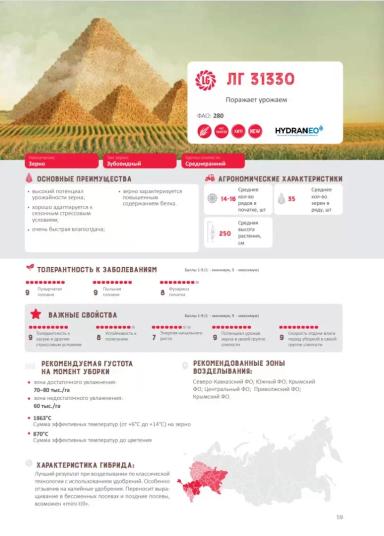 ЛГ 31330 гибрид кукурузы Лимагрейн
