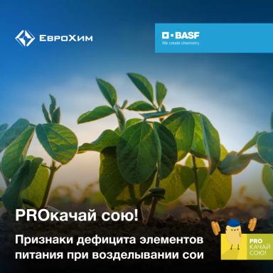 PROкачай сою! Признаки дефицита элементов питания при возделывании сои
