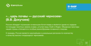 5 декабря — Всемирный день почв