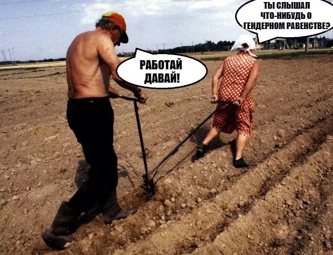 Устранение гендерного неравенства в апк поможет в борьбе с голодом