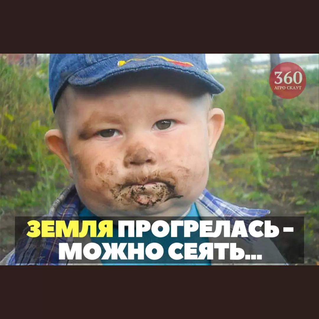 Весна - это время, когда агроном должен принять важное решение...