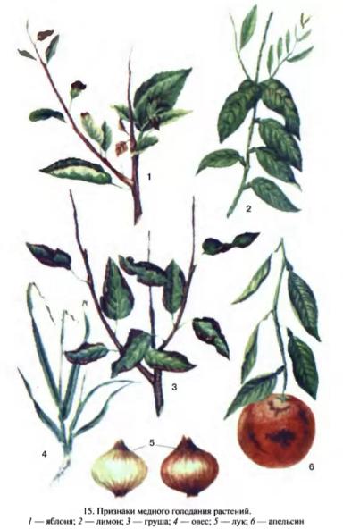 Медь в растениях и почве