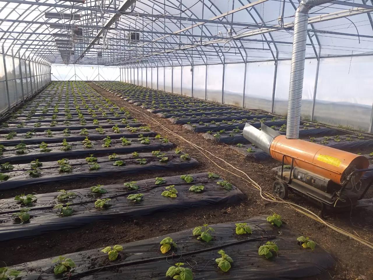 Опять не все гладко