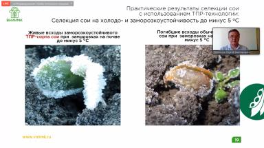 Селекция и семеноводство выращивания сои в РФ