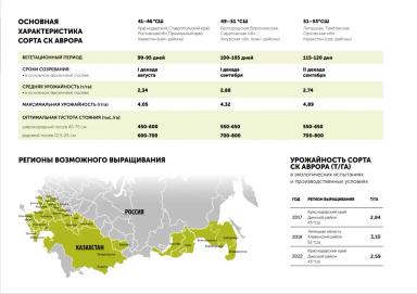 СК Аврора