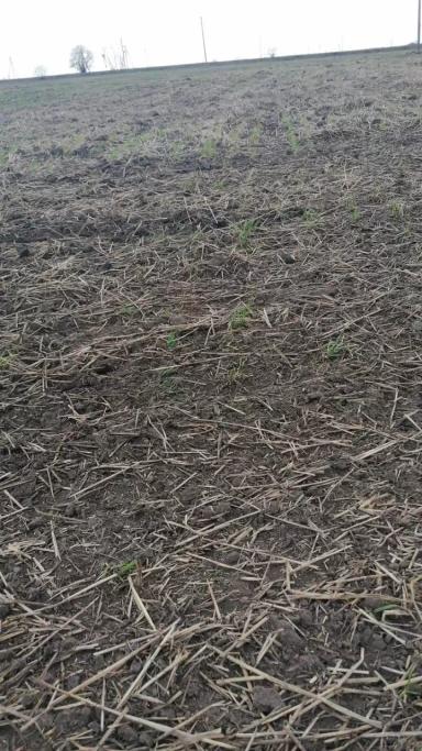 Агромониторинг