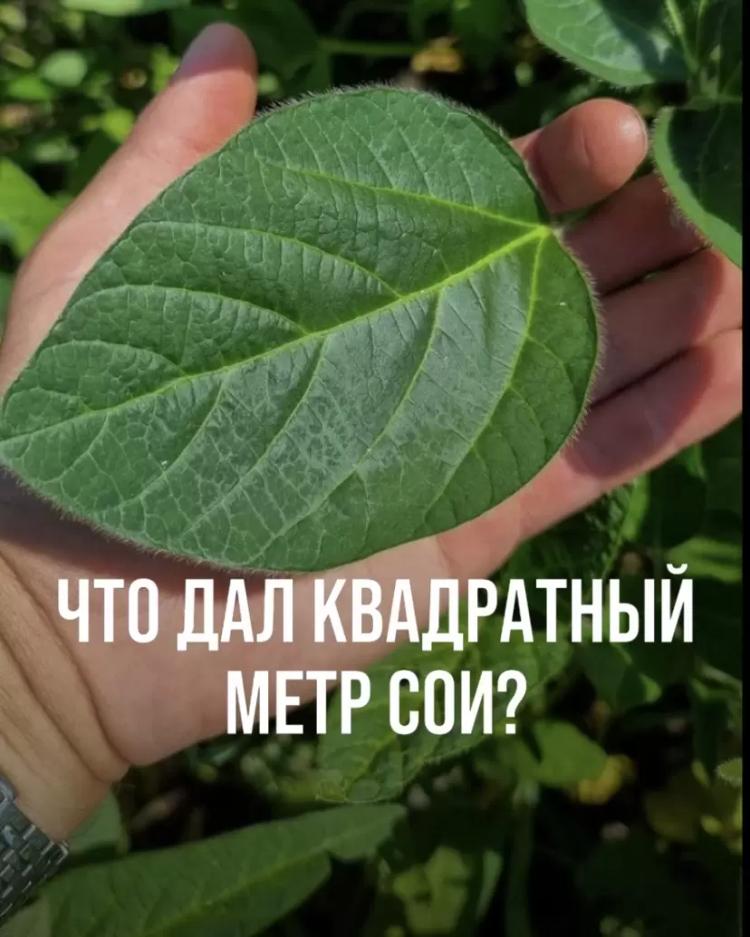 ЧТО ДАЛ КВАДРАТНЫЙ МЕТР СОИ?