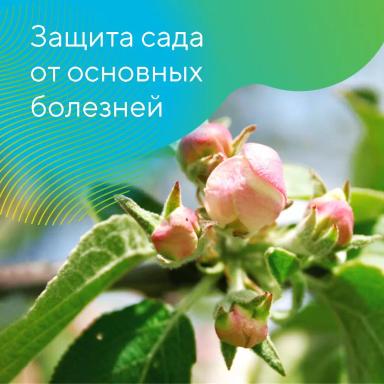 Рекомендации по защите садов на Северном Кавказе