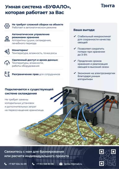 Как сохранить урожай овощей и не потерять деньги на хранении
