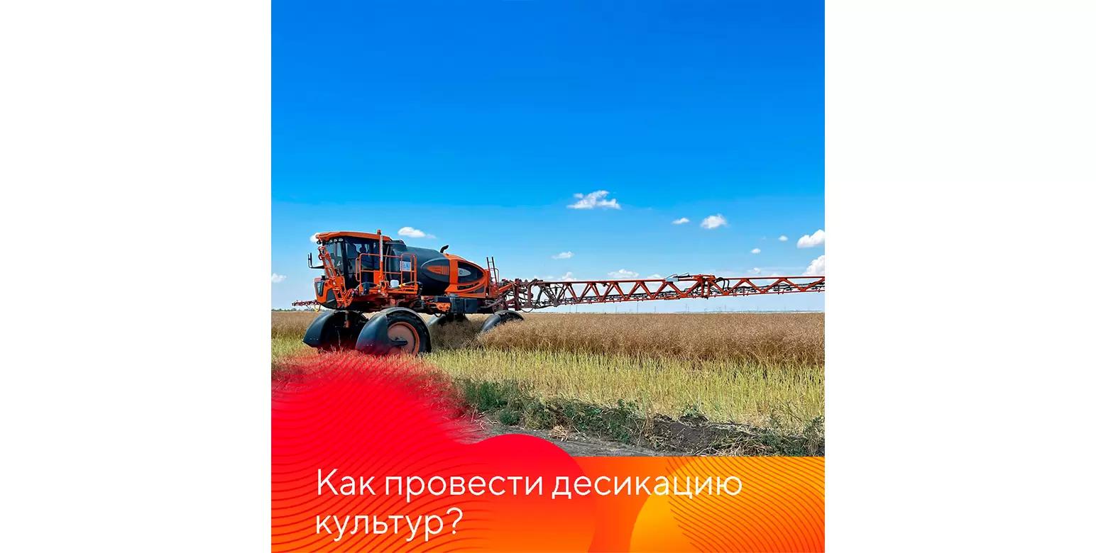 Особенности десикации культур