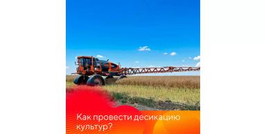 Особенности десикации культур